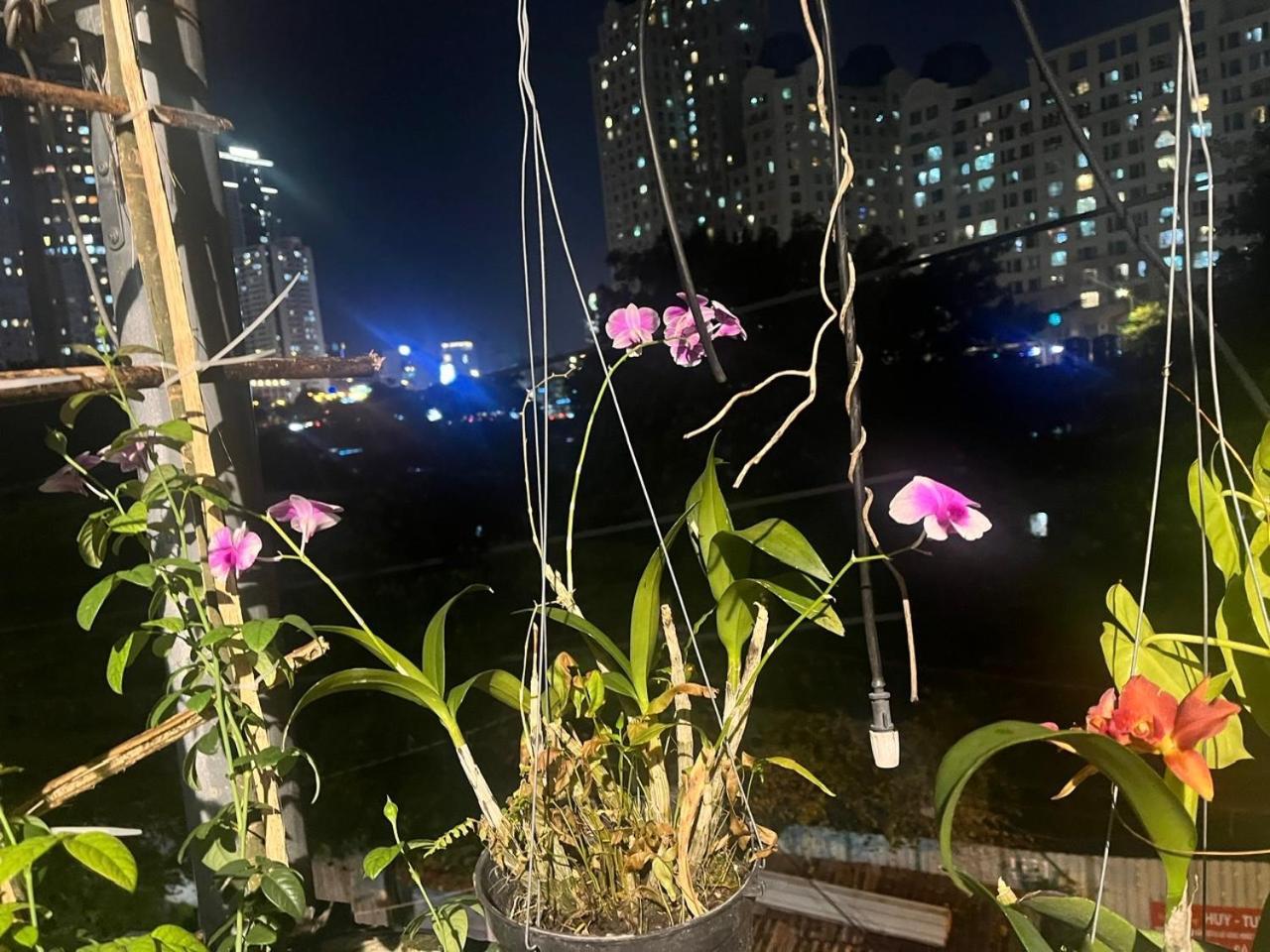 May House Binhthanh Ho Chi Minh-byen Eksteriør bilde